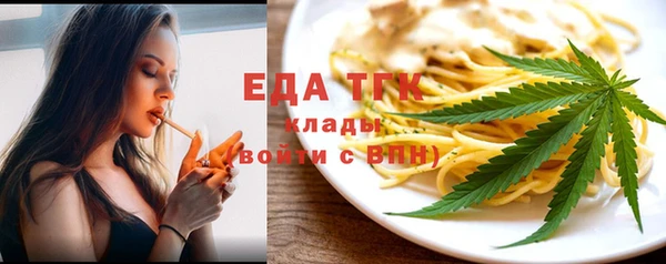 индика Гусиноозёрск