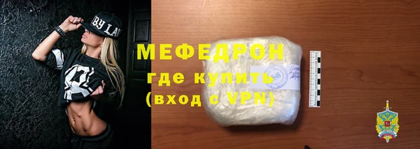 индика Гусиноозёрск