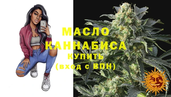 индика Гусиноозёрск