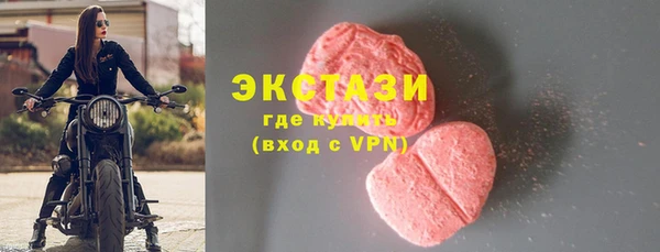 индика Гусиноозёрск