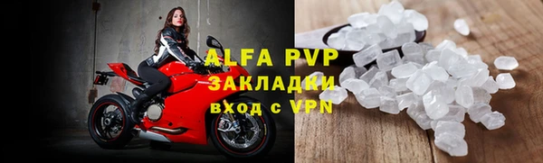 индика Гусиноозёрск