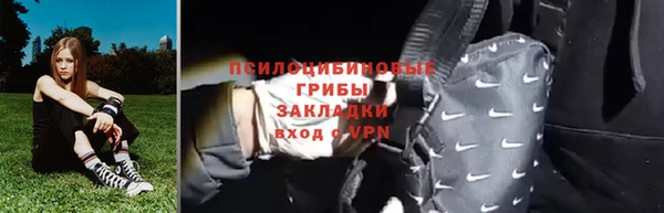 индика Гусиноозёрск