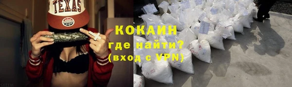индика Гусиноозёрск