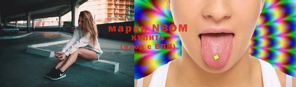 бошки Гусев