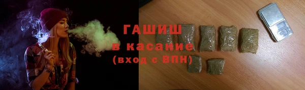 индика Гусиноозёрск