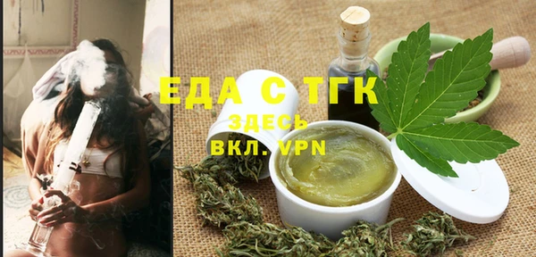 индика Гусиноозёрск