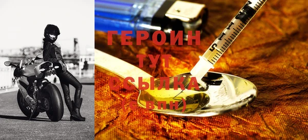 индика Гусиноозёрск