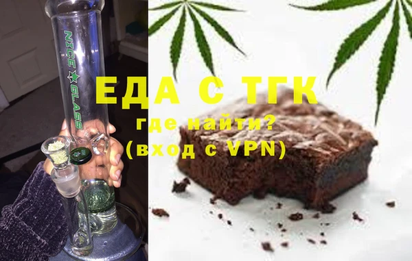 индика Гусиноозёрск
