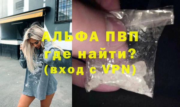 индика Гусиноозёрск