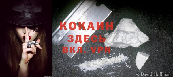 бошки Гусев